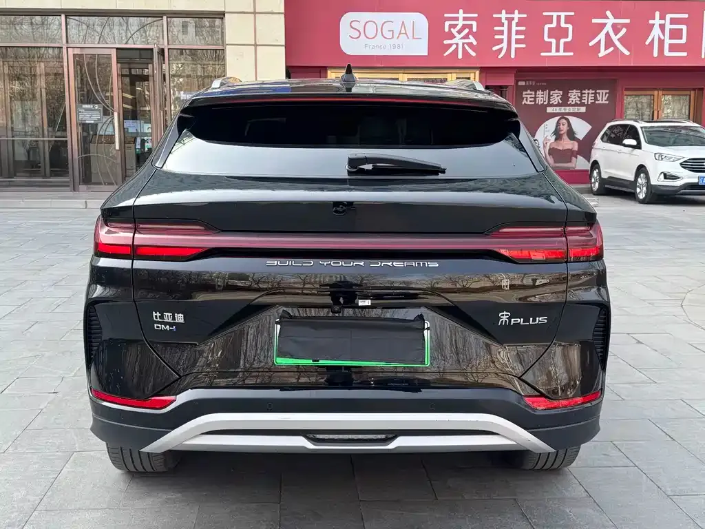 BYD PLUS New Energy 2024 из CN, фото 4