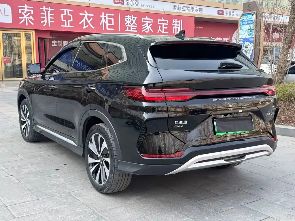 BYD PLUS New Energy 2024 из CN, фото 3