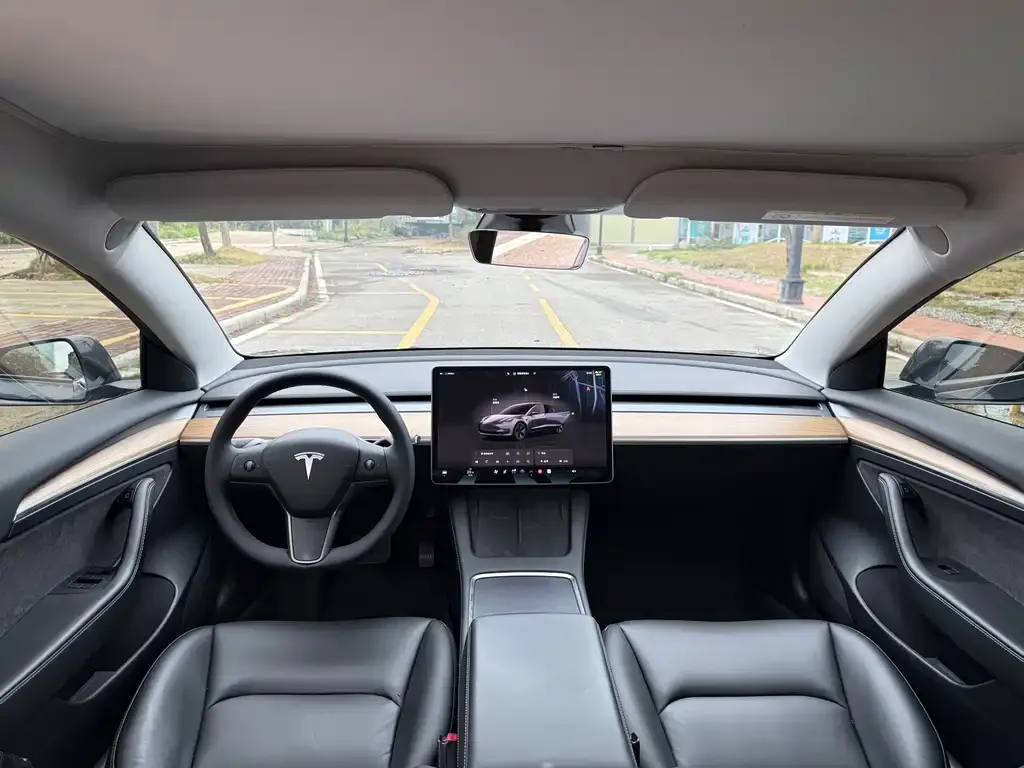 Tesla Model 3 2022 из CN, фото 6