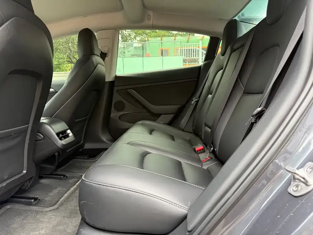 Tesla Model 3 2022 из CN, фото 3