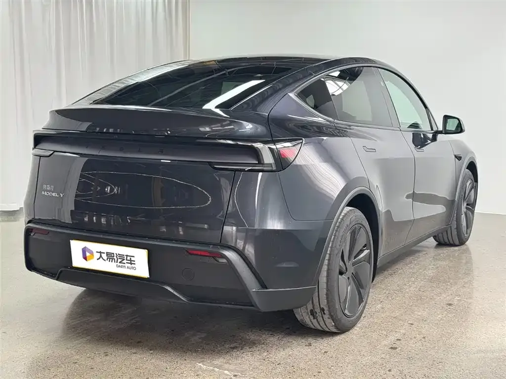 Tesla Model Y — фото 10