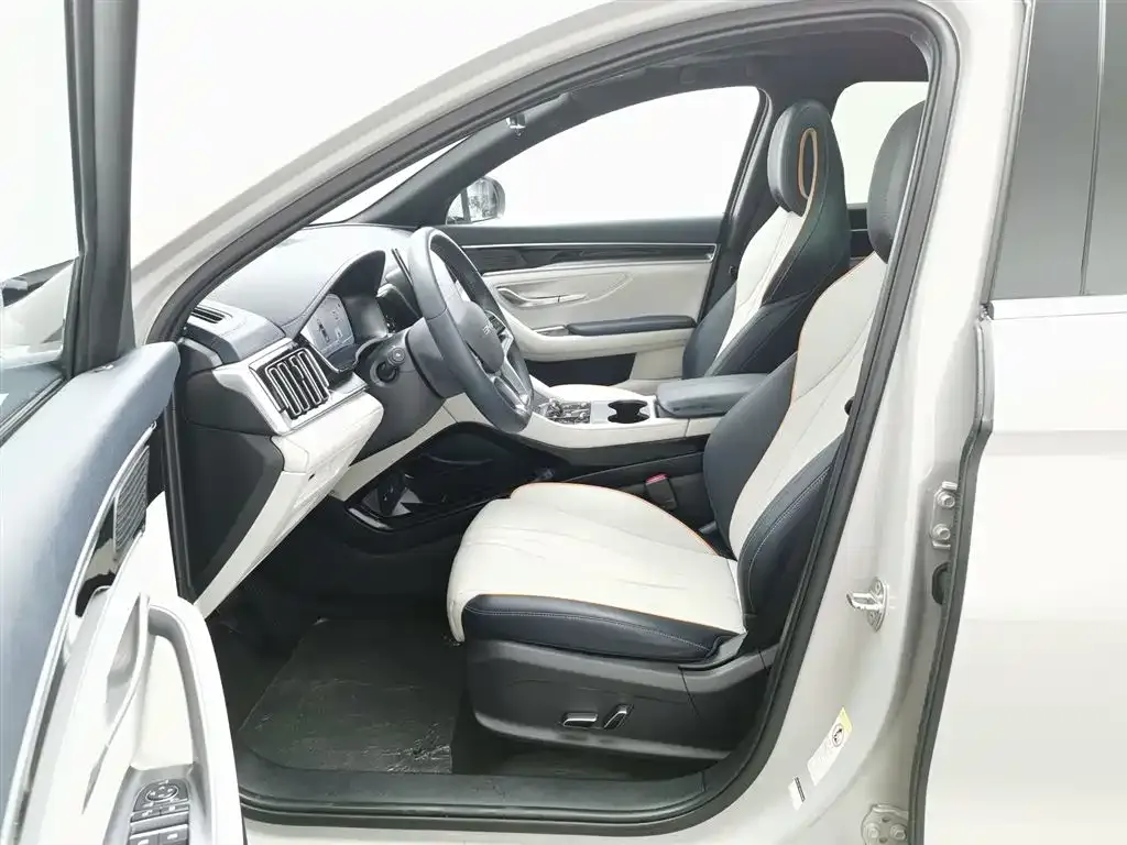 BYD PLUS New Energy 2023 из CN, фото 10