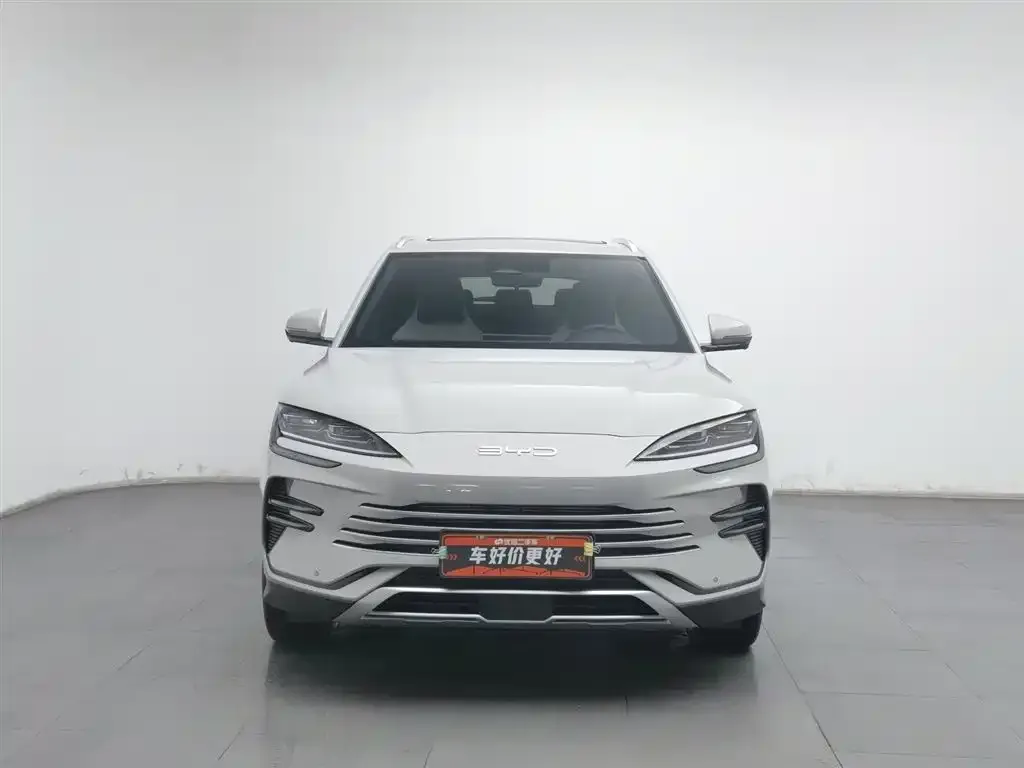 BYD PLUS New Energy 2023 из CN, фото 4