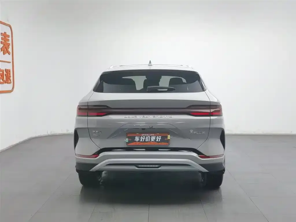 BYD PLUS New Energy 2023 из CN, фото 2
