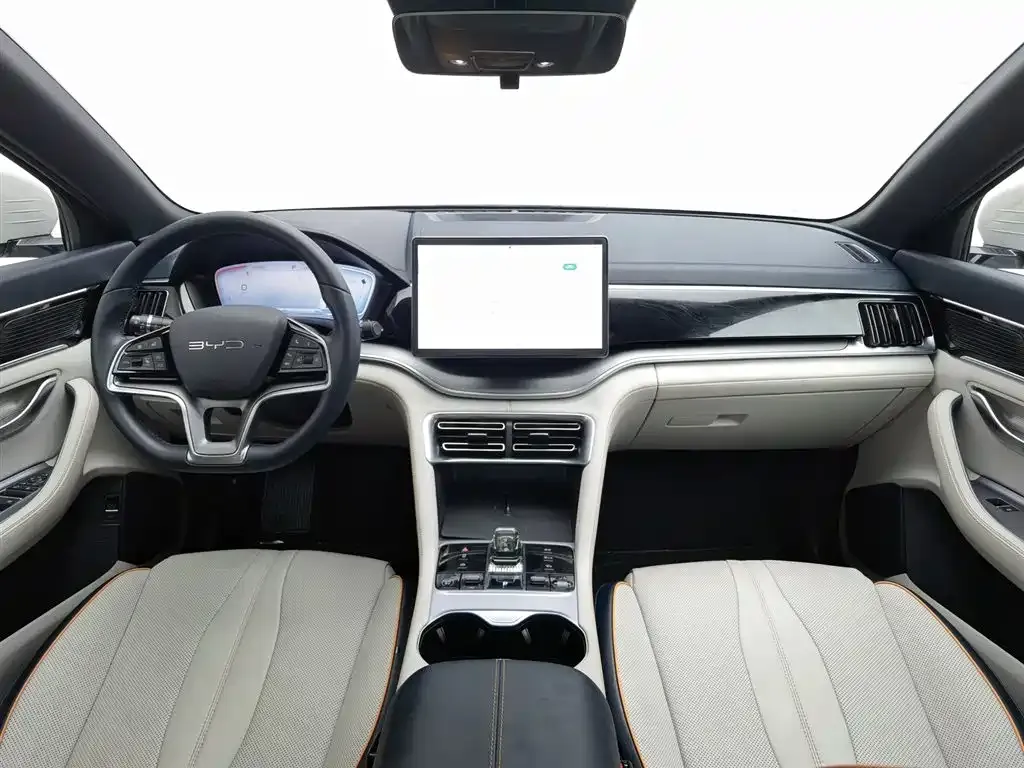 BYD PLUS New Energy 2023 из CN, фото 6