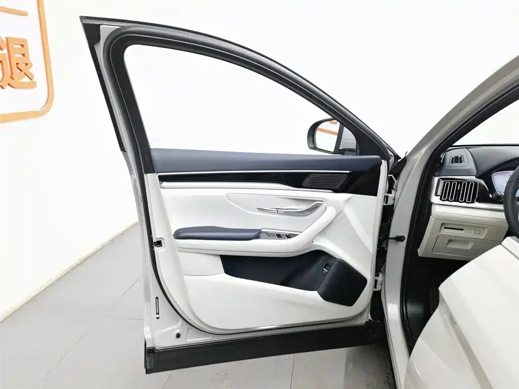 BYD PLUS New Energy 2023 из CN, фото 7