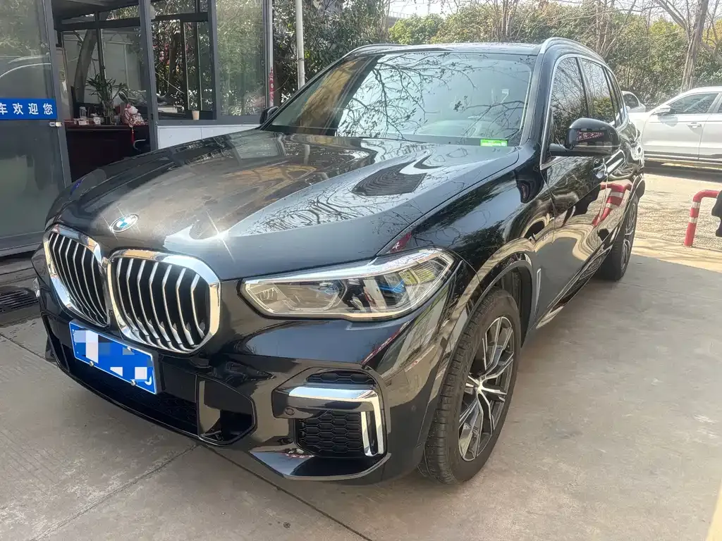 BMW X5 2023 из CN, фото 1