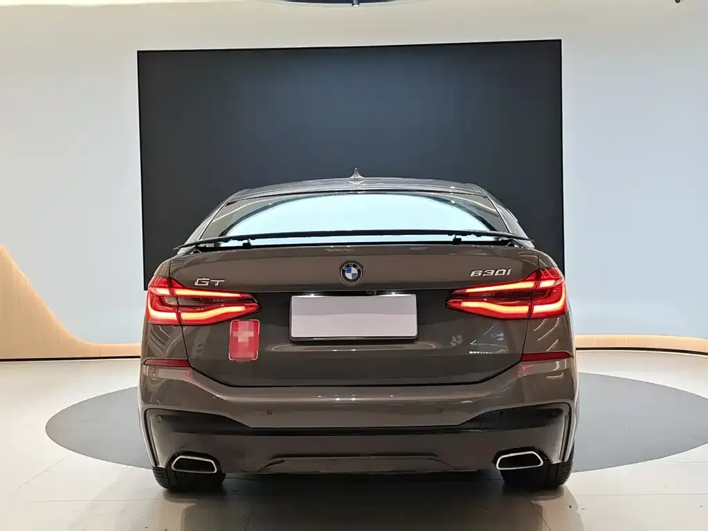 BMW 6 Series GT 2022 из CN, фото 3