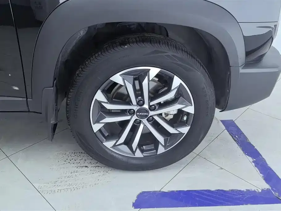 Haval Big Dog 2024 из CN, фото 10