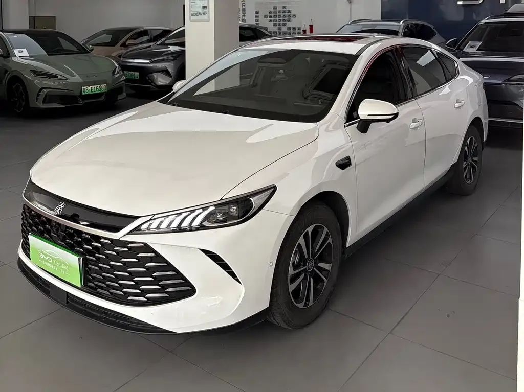BYD Qin PLUS — фото 1