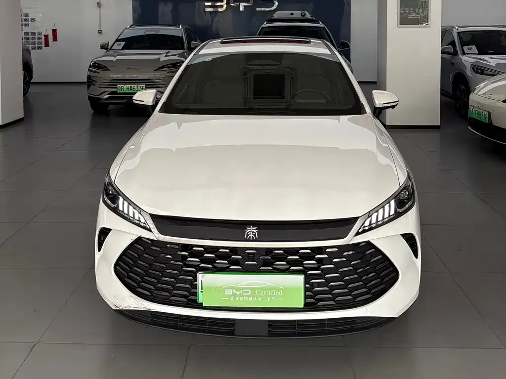 BYD Qin PLUS — фото 2