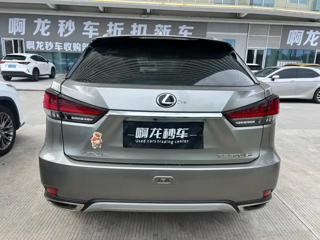 Lexus RX 2022 из CN, фото 8
