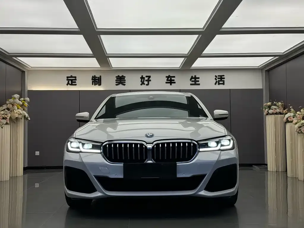 BMW 5 Series New Energy — фото 3