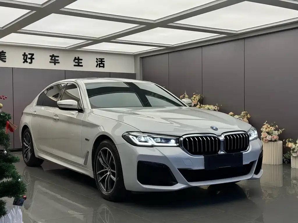 BMW 5 Series New Energy — фото 5