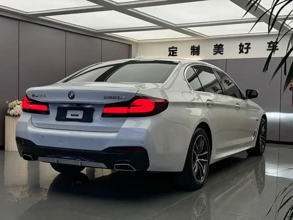 BMW 5 Series New Energy — фото 2