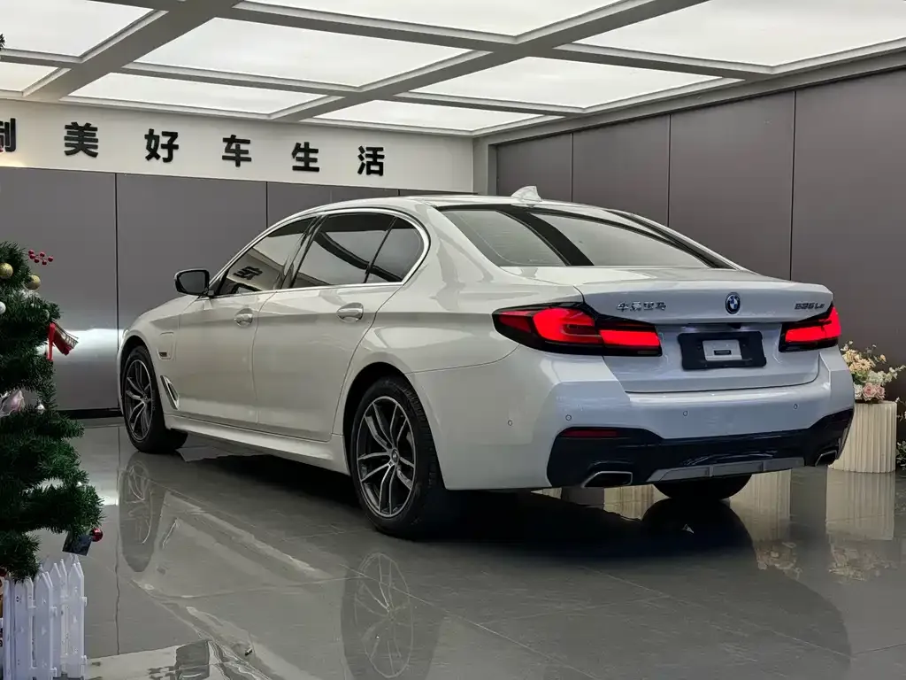 BMW 5 Series New Energy — фото 8