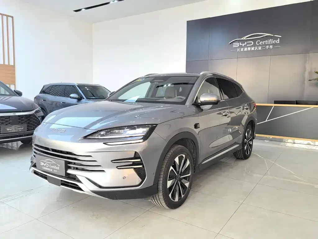 BYD PLUS New Energy — фото 1