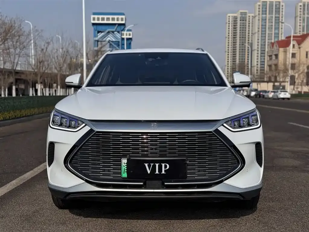 BYD PLUS New Energy — фото 2