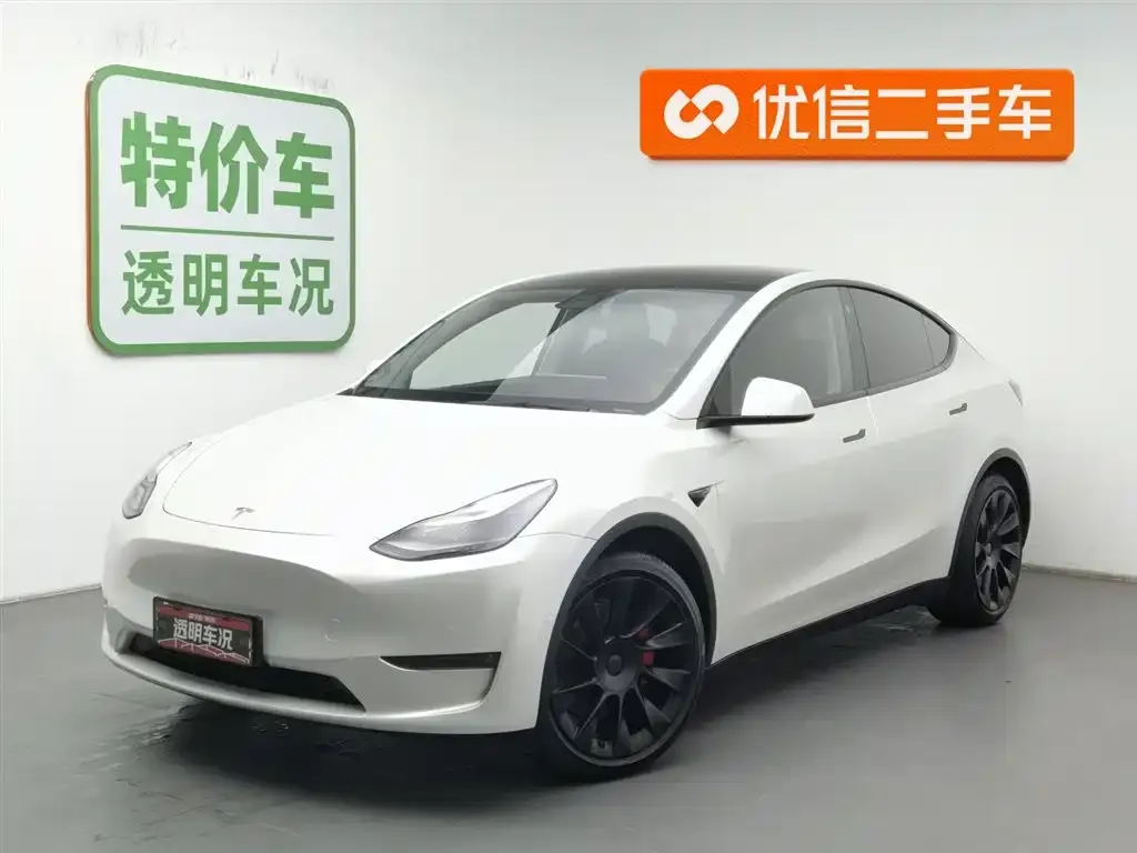 Tesla Model Y 2021 из CN, фото 1