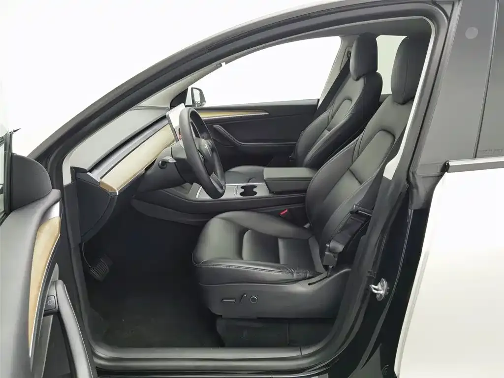 Tesla Model Y 2021 из CN, фото 6