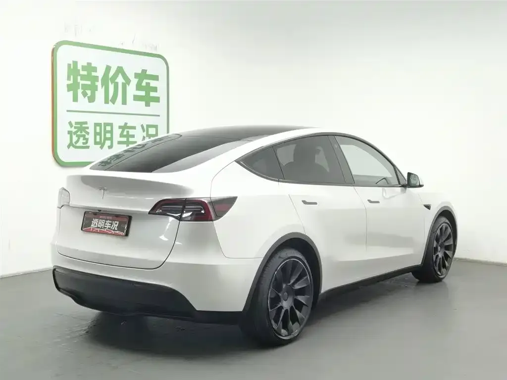 Tesla Model Y 2021 из CN, фото 2