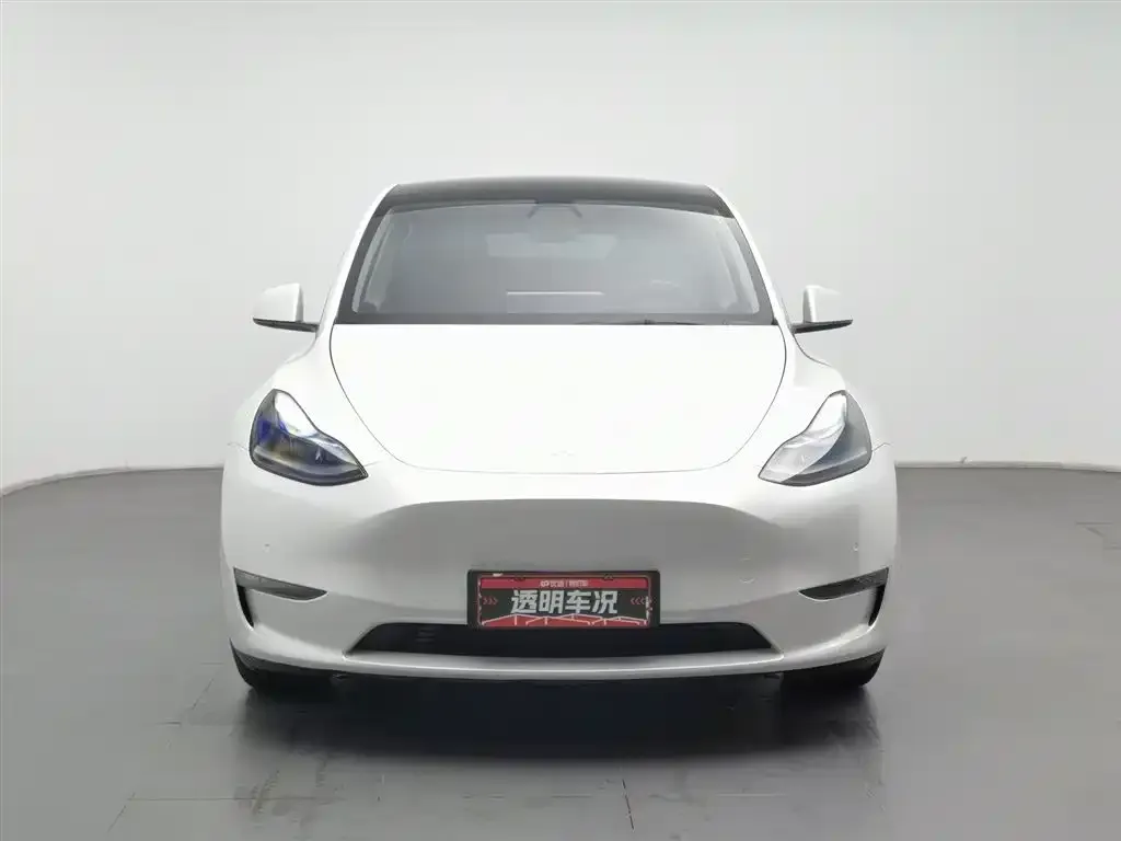 Tesla Model Y 2021 из CN, фото 5