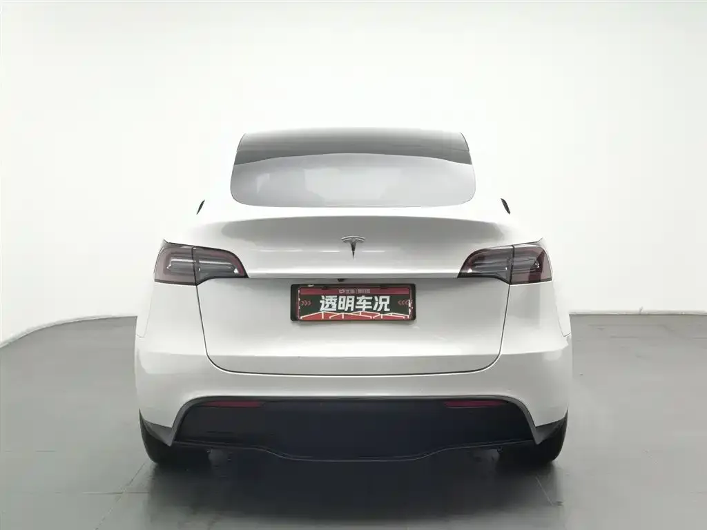 Tesla Model Y 2021 из CN, фото 10