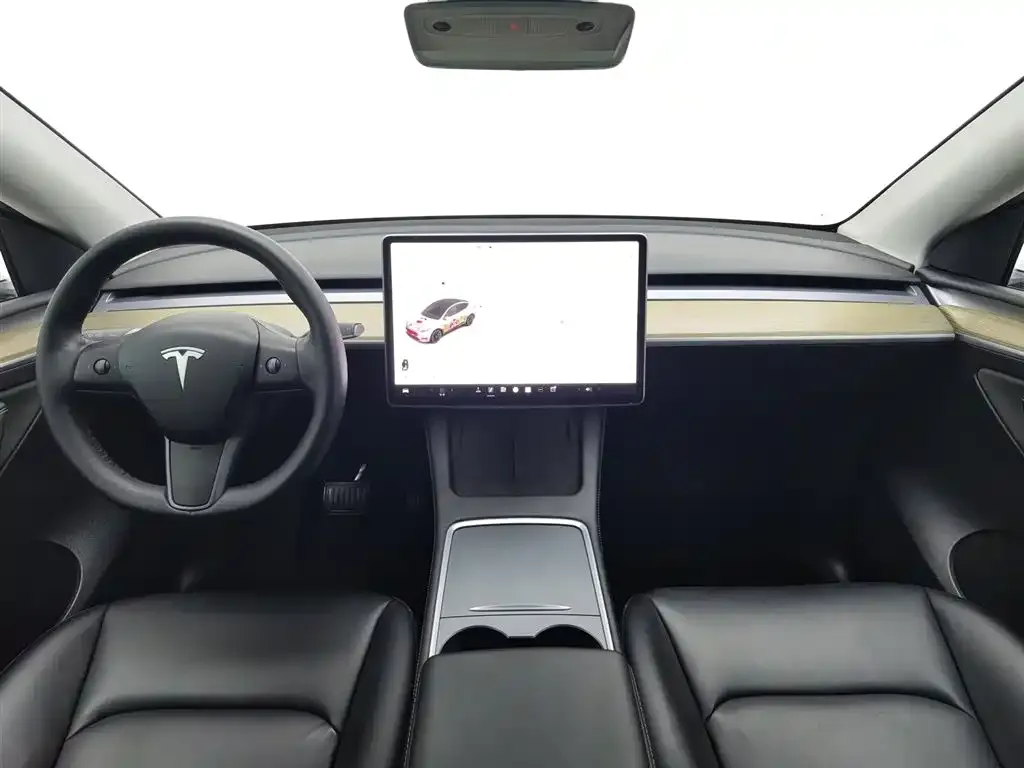 Tesla Model Y 2021 из CN, фото 4