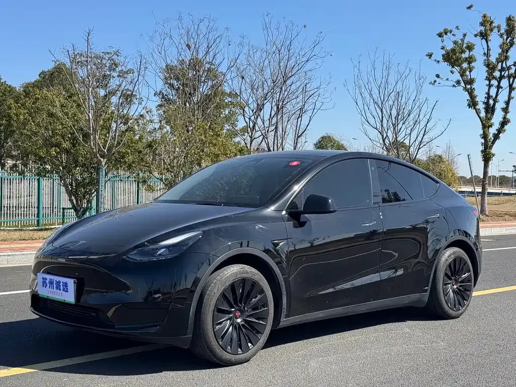 Tesla Model Y — фото 1
