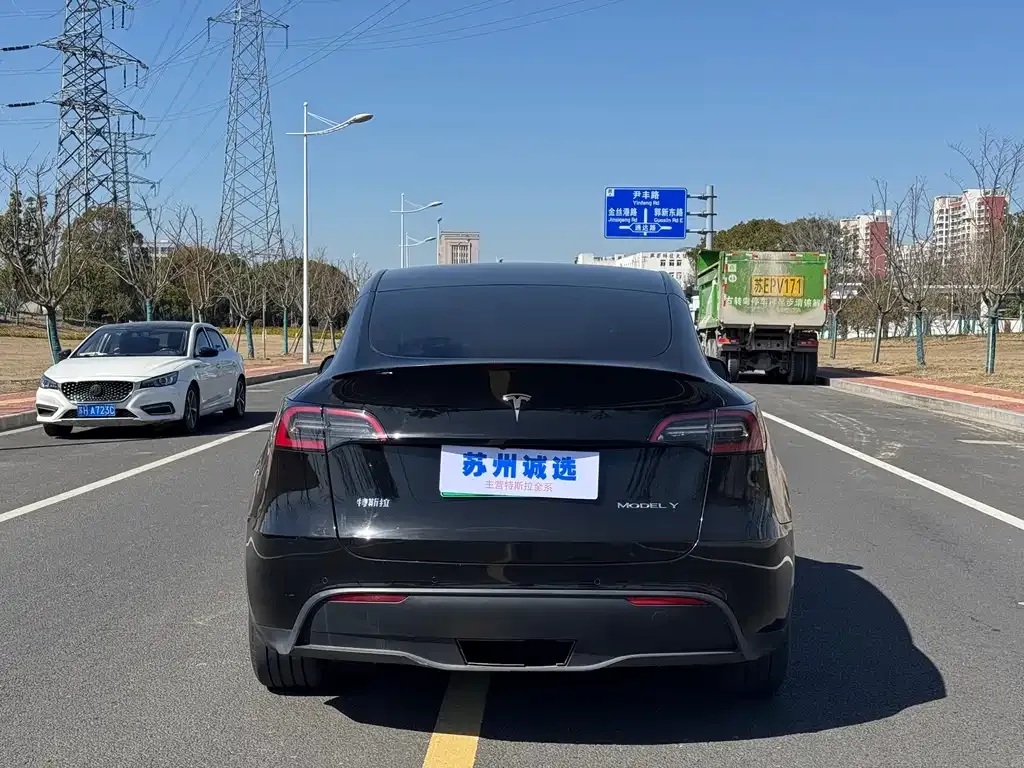 Tesla Model Y — фото 8