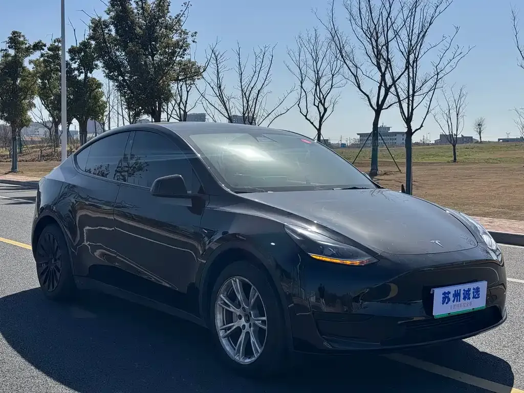 Tesla Model Y — фото 3