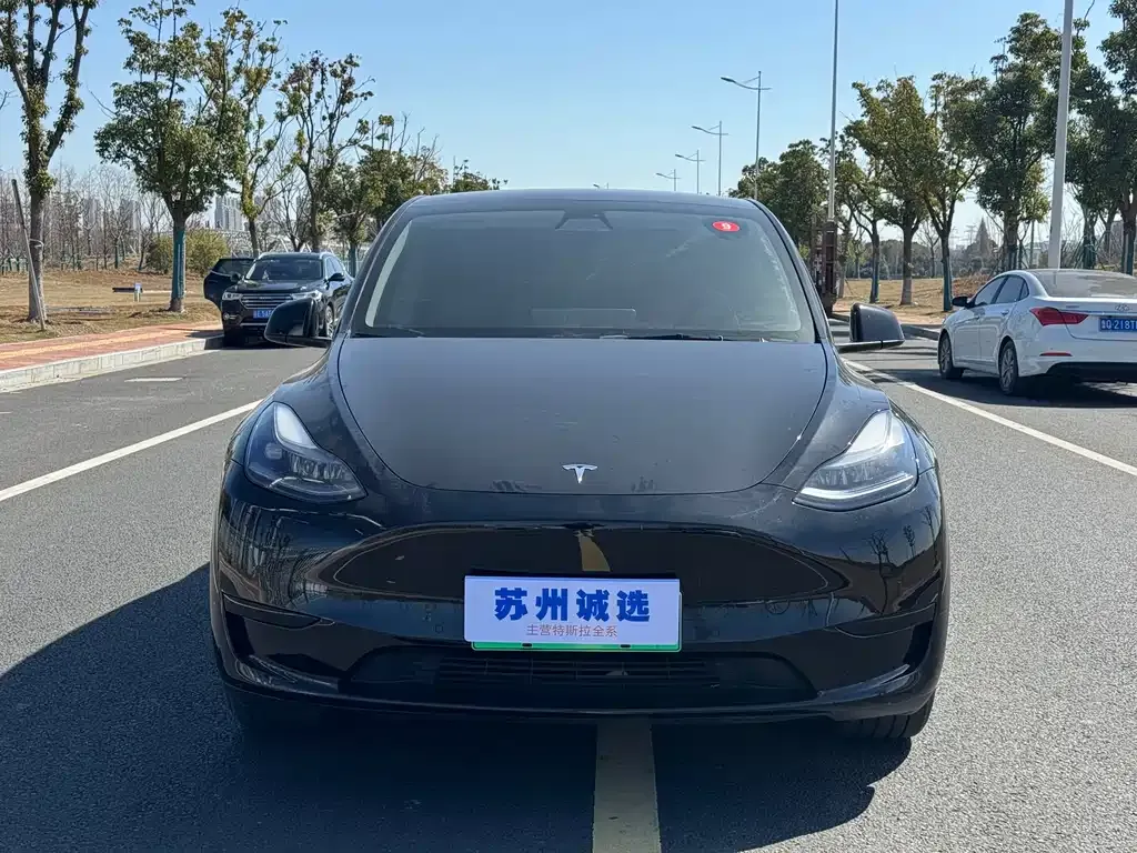 Tesla Model Y — фото 9