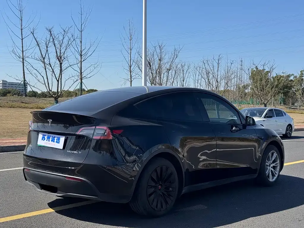 Tesla Model Y — фото 6