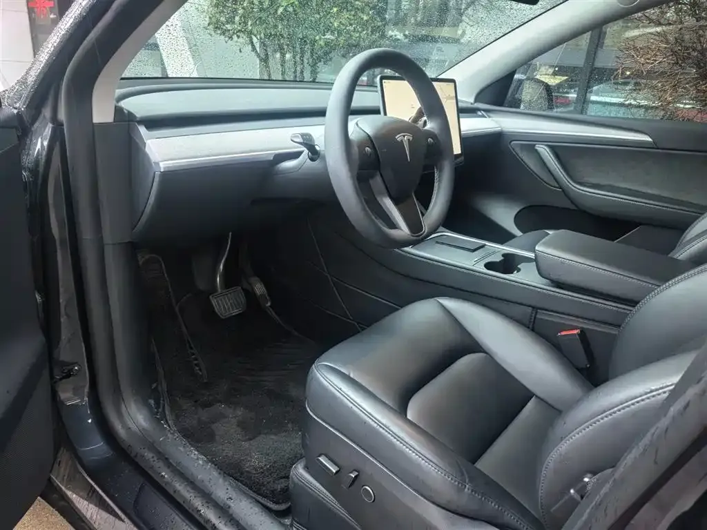 Tesla Model Y 2024 из CN, фото 6