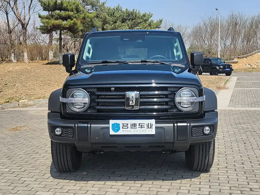 Tank 300 2025 из CN, фото 9