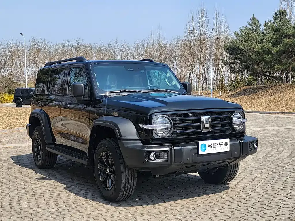 Tank 300 2025 из CN, фото 10