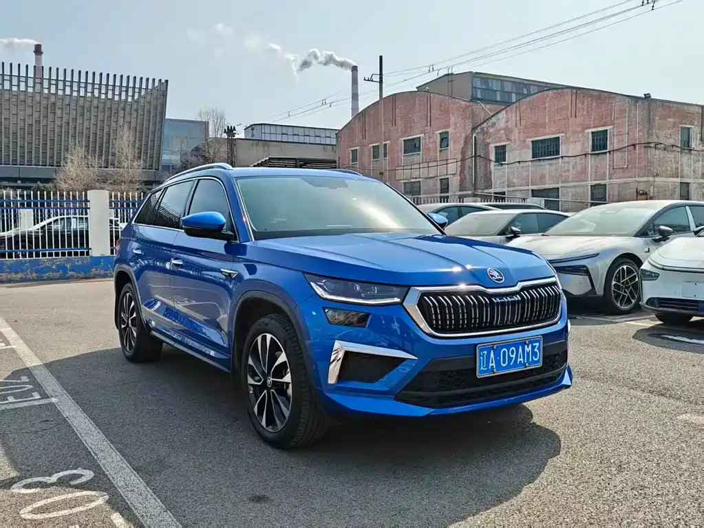 Skoda Kodiaq 2022 из CN, фото 9