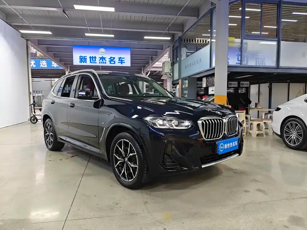 BMW X3 2024 из CN, фото 8
