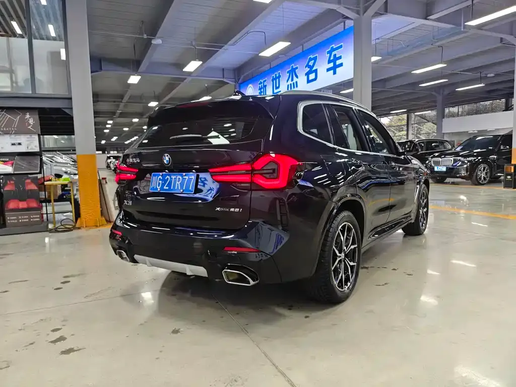 BMW X3 2024 из CN, фото 6