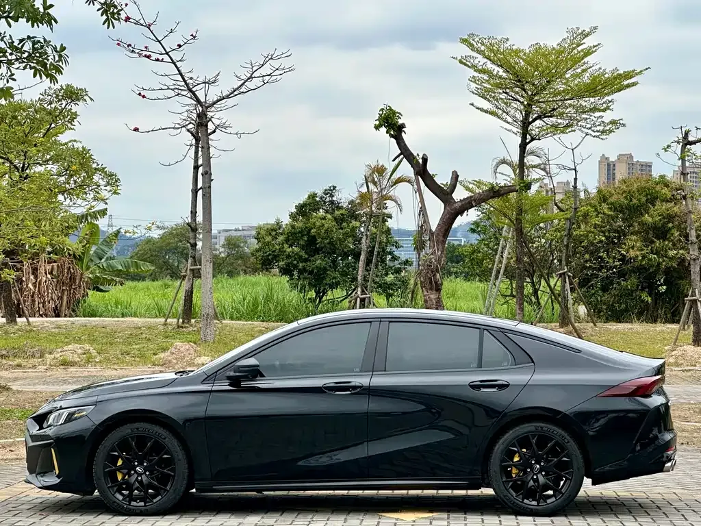 GAC Motor Shadow Leopard 2022 из CN, фото 2