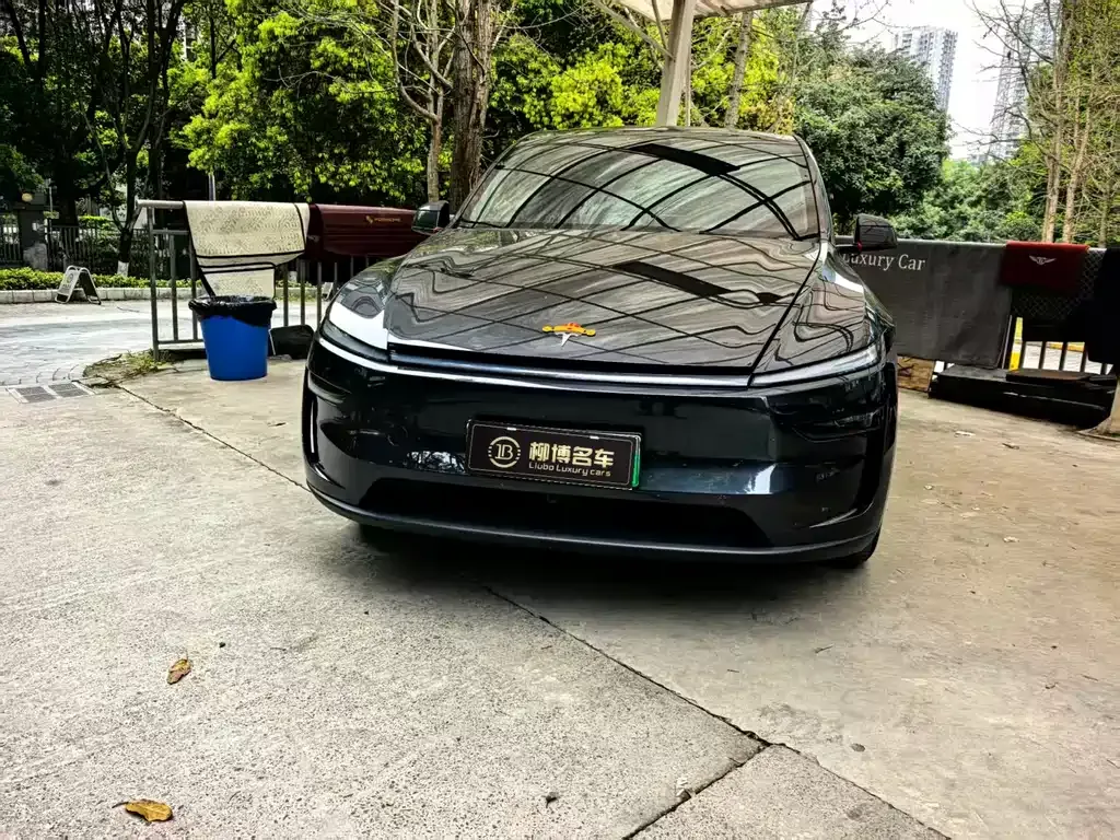 Tesla Model Y — фото 8