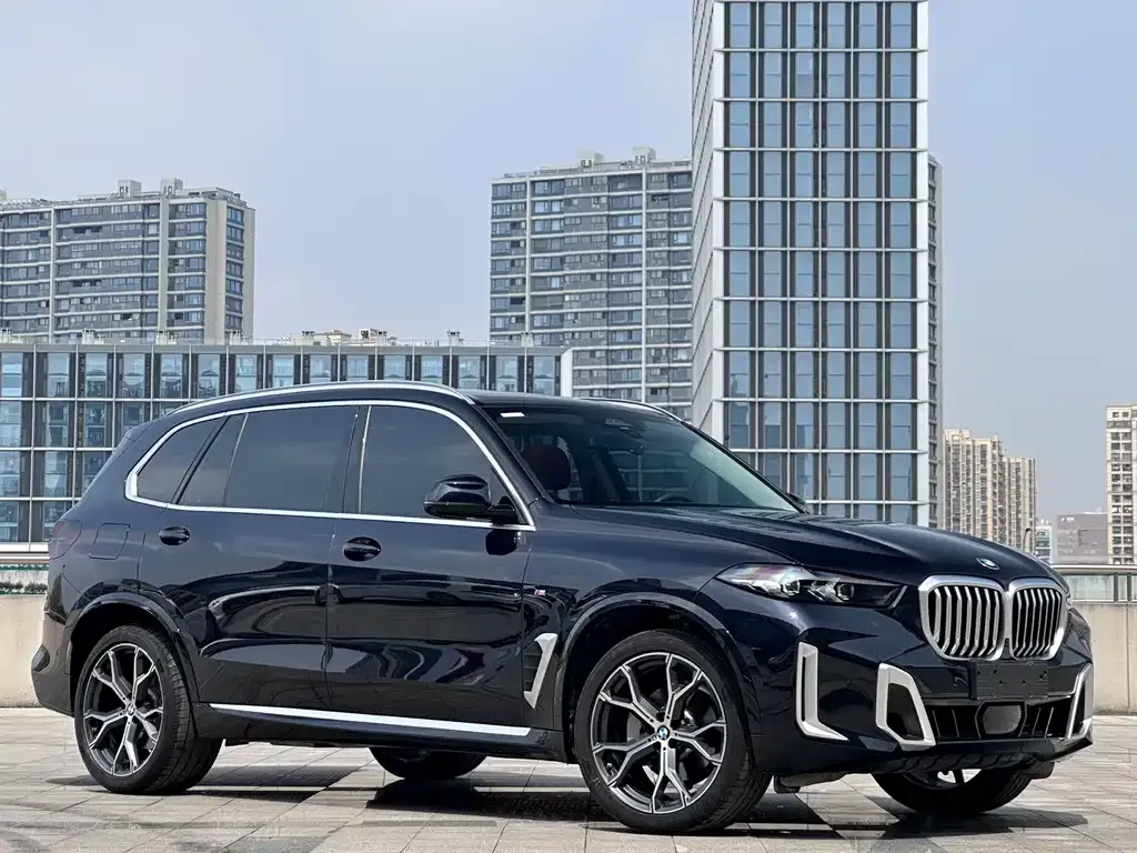 BMW X5 — фото 5