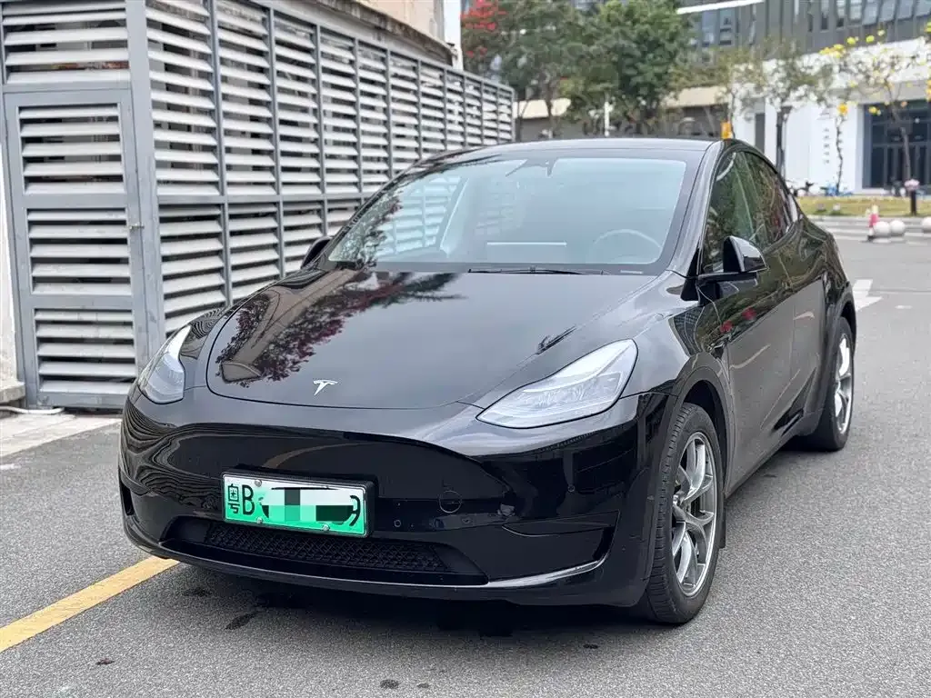 Tesla Model Y 2022 из CN, фото 1