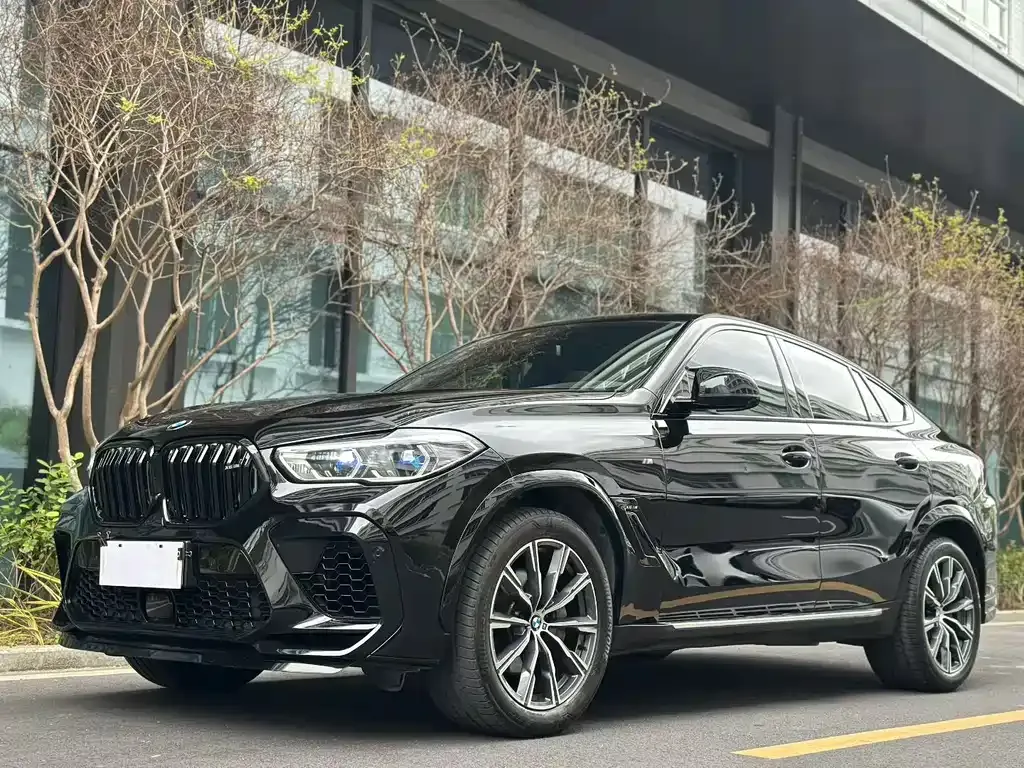 BMW X6 2022 из CN, фото 1