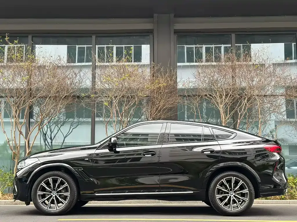 BMW X6 2022 из CN, фото 9
