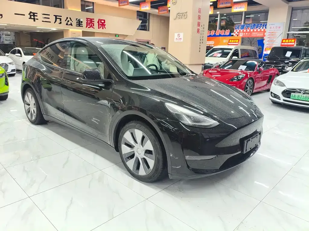 Tesla Model Y — фото 3