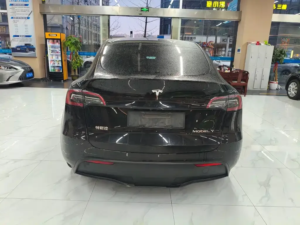Tesla Model Y — фото 8