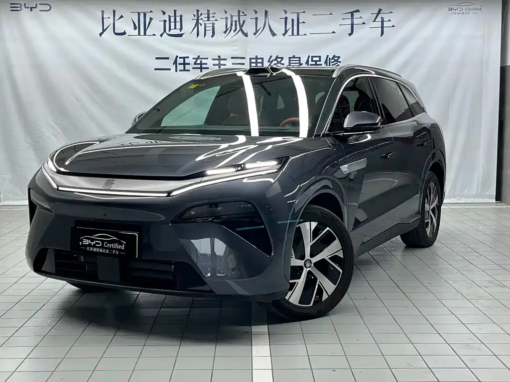 BYD Tang L — фото 1