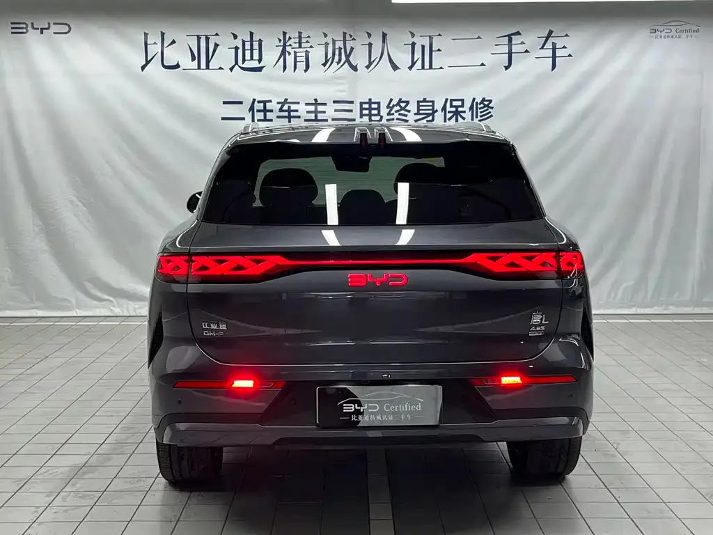 BYD Tang L — фото 2