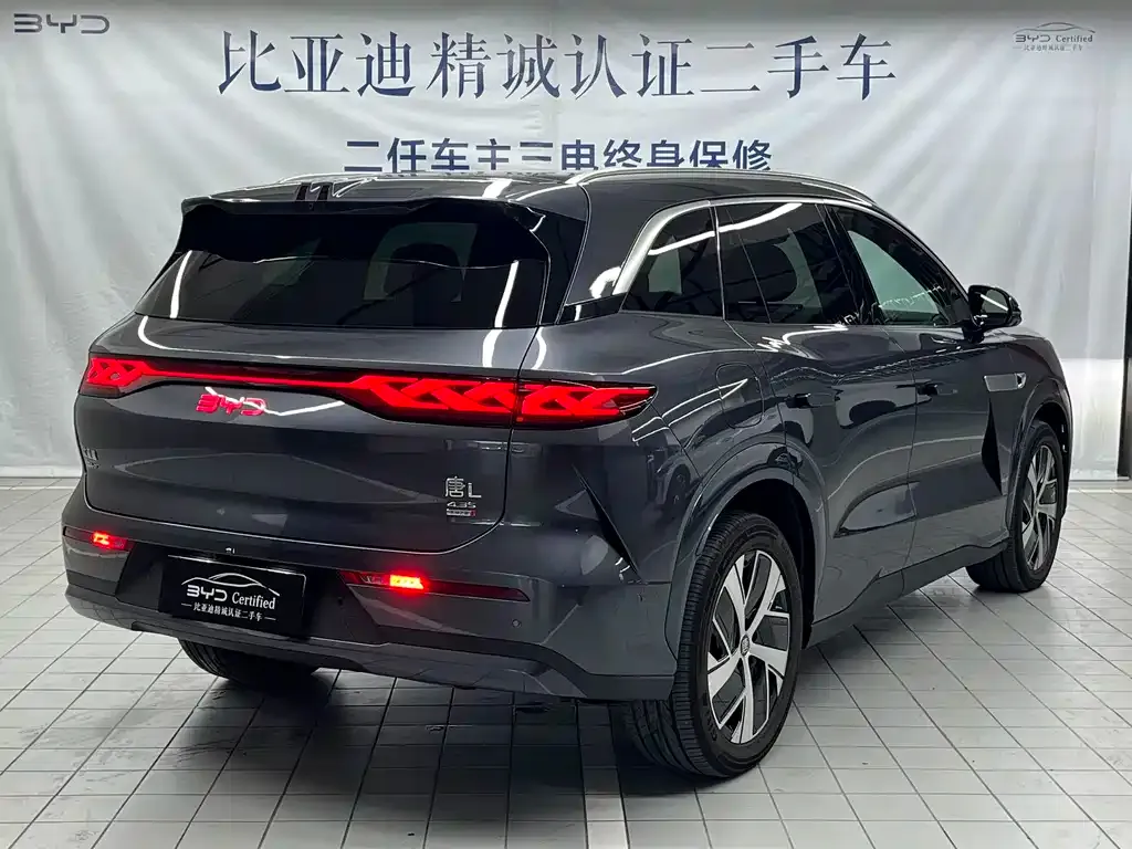 BYD Tang L — фото 10